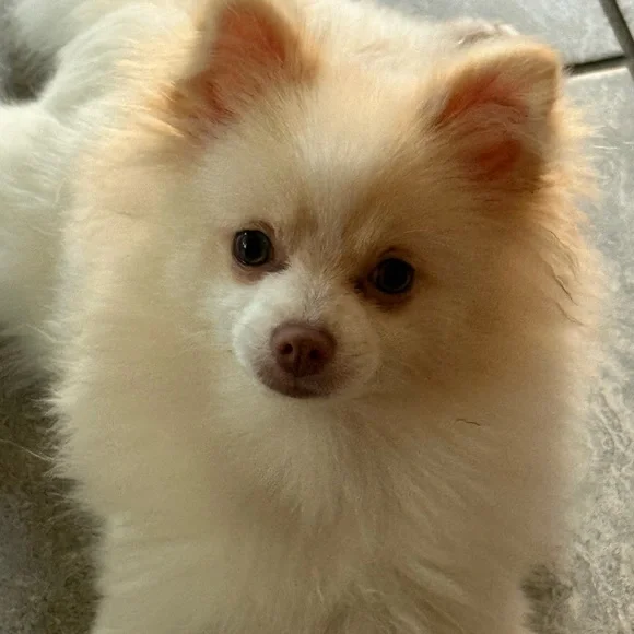 Trade - Picture 1 of 1